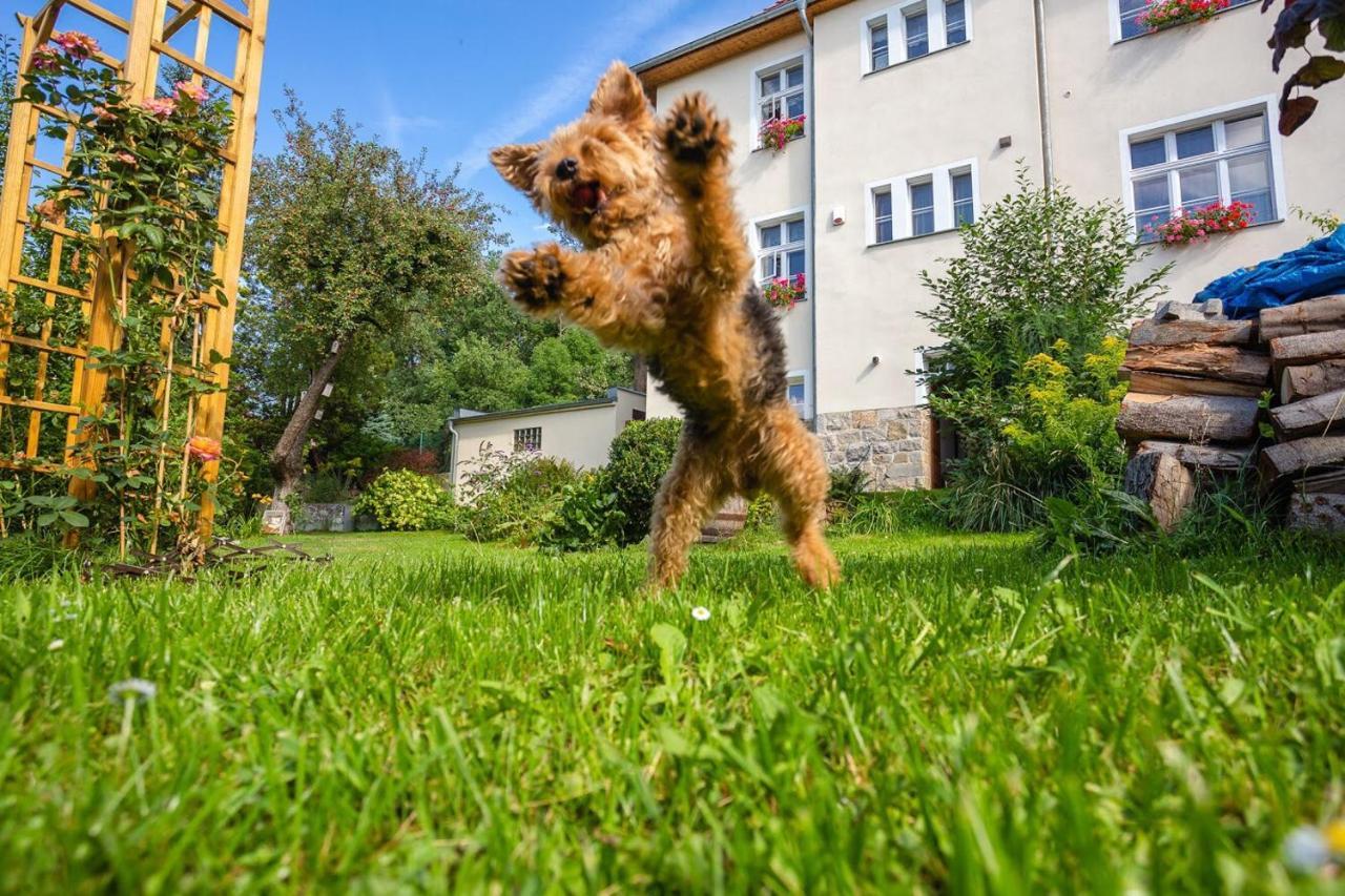 Ferienwohnung Dom Pod Rybia Skala Jelenia Góra Exterior foto